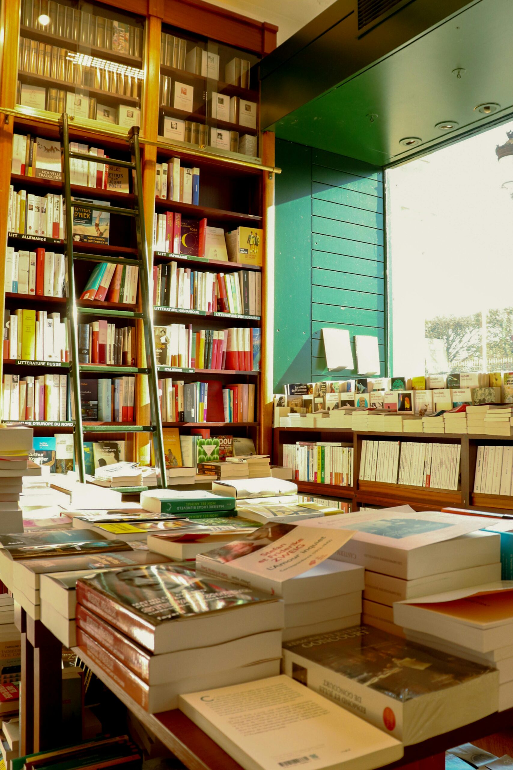 L'intérieur d'une librairie avec des rayons de soleil qui éclairent une grande bibliothèque avec une échelle pour attraper les livres, ainsi que des livres disposés sur des tables