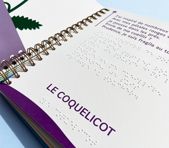 pages intérieures du livre dans la collection éduc'braille, intitulé Mon herbier des fleurs. Les pages intérieures sont en images tactiles, braille et gros caractères