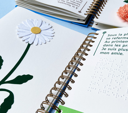 pages intérieures du livre dans la collection éduc'braille, intitulé Mon herbier des fleurs. Les pages intérieures sont en images tactiles, braille et gros caractères