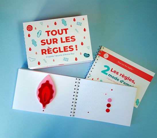 Couverture du livre adapté de Tout sur les règles, de Anna Roy. On voit également une page intérieure avec des images tactiles et du braille