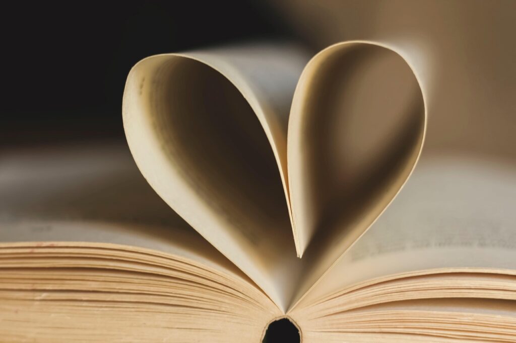 Préparer la stratégie de communication de son livre ou oracle  est indispensable pour permettre une belle visibilité dès sa parution
