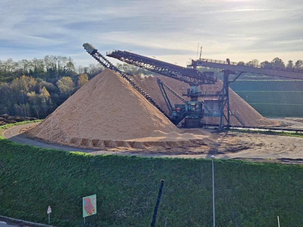 vue d’un stock de bois préparé pour la production de pâte à papier. (c) Benoît Moreau