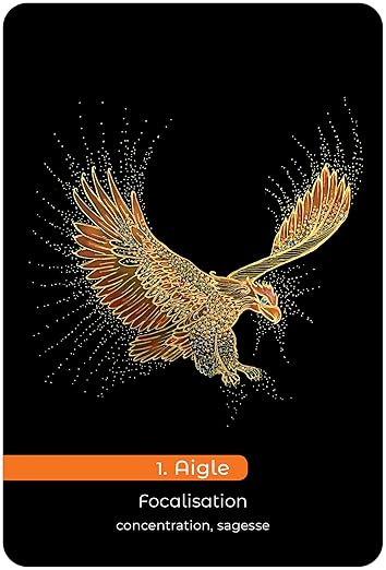 Carte de L'oracle des talents révélés, de Hervé et Sylvie Franceschi, illustré par Mona De Sa. Cette carte représente l'Aigle, synonyme de Focalisation, concentration, sagesse