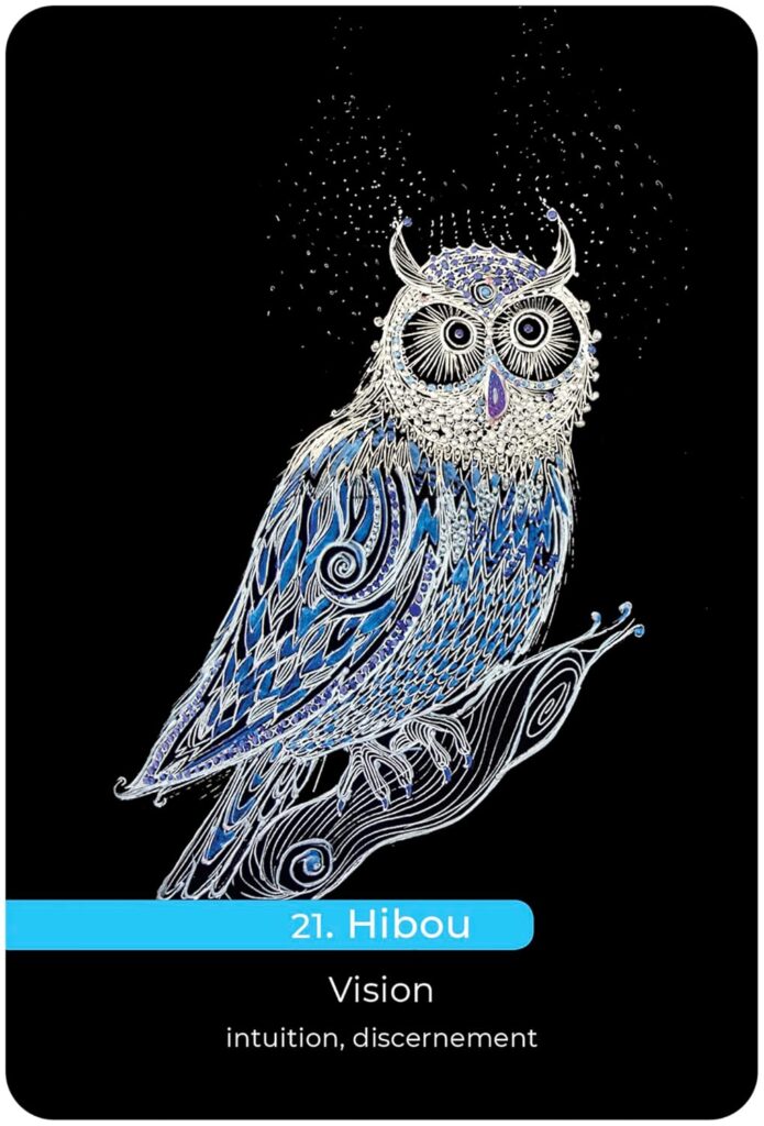 Carte de L'oracle des talents révélés, de Hervé et Sylvie Franceschi, illustré par Mona De Sa. Cette carte représente le Hibou, synonyme de Vision, intuition, discernement